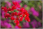 DSC_5072_640
