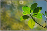 DSC_5090_640