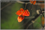 DSC_5094_640