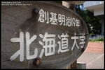 DSC_2677_640