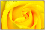 DSC_0891_640