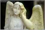 DSC_9184_640