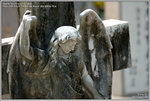 DSC_9225_640