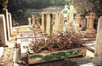 f80_reala100_nsw_026