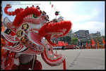 DSC_9857_640