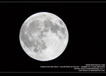 IMG_1325_800