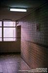 xtra_50_001_800