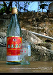 DSCF0410_800
