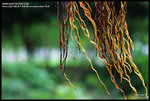 DSC_7761_640