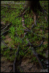 DSC_7785_640