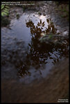 DSC_7789_640