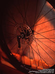 RVP100_3door_018_resize_800