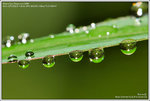 DSC_1487_640