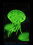 7443ps