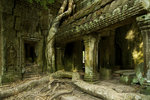 Ta Prohm  �𴶭ۦx