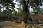 Ta Prohm  �𴶭ۦx