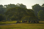 Outside Bayon �ڦ��x�~