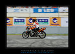 DSC_3953ps