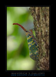 DSC_1262ps