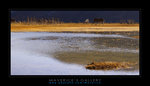 DSC8849ps