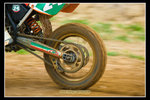2009_02_15_�q�樮_0554