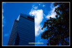 blue-SKY-CENTRAL_15