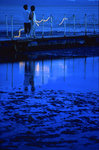 scan_12