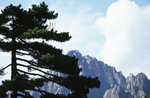���s01_20