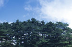 ���s02_04