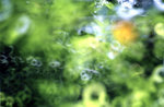 �����L�H_57