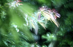 �����L�H_59