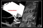 ymt_11