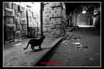 ymt_18
