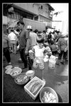 alc_bw_01