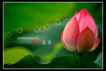 �A���D�B07