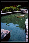 slide02_14