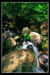 �ձd2007_8