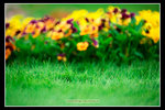 2008_��i_28_s