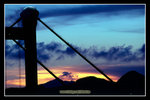 �C��2008_14