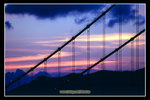 �C��2008_15