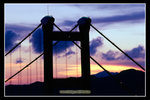 �C��2008_16