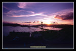 �C��2008_2