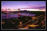 �C��2008_26