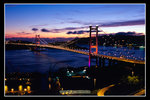 �C��2008_28