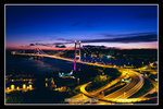�C��2008_31