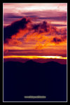 �C��2008_8