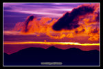 �C��2008_9