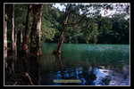 �����դd�h2008_15