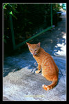 Tai_O_20a