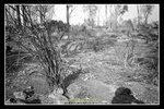 scan_BW_07